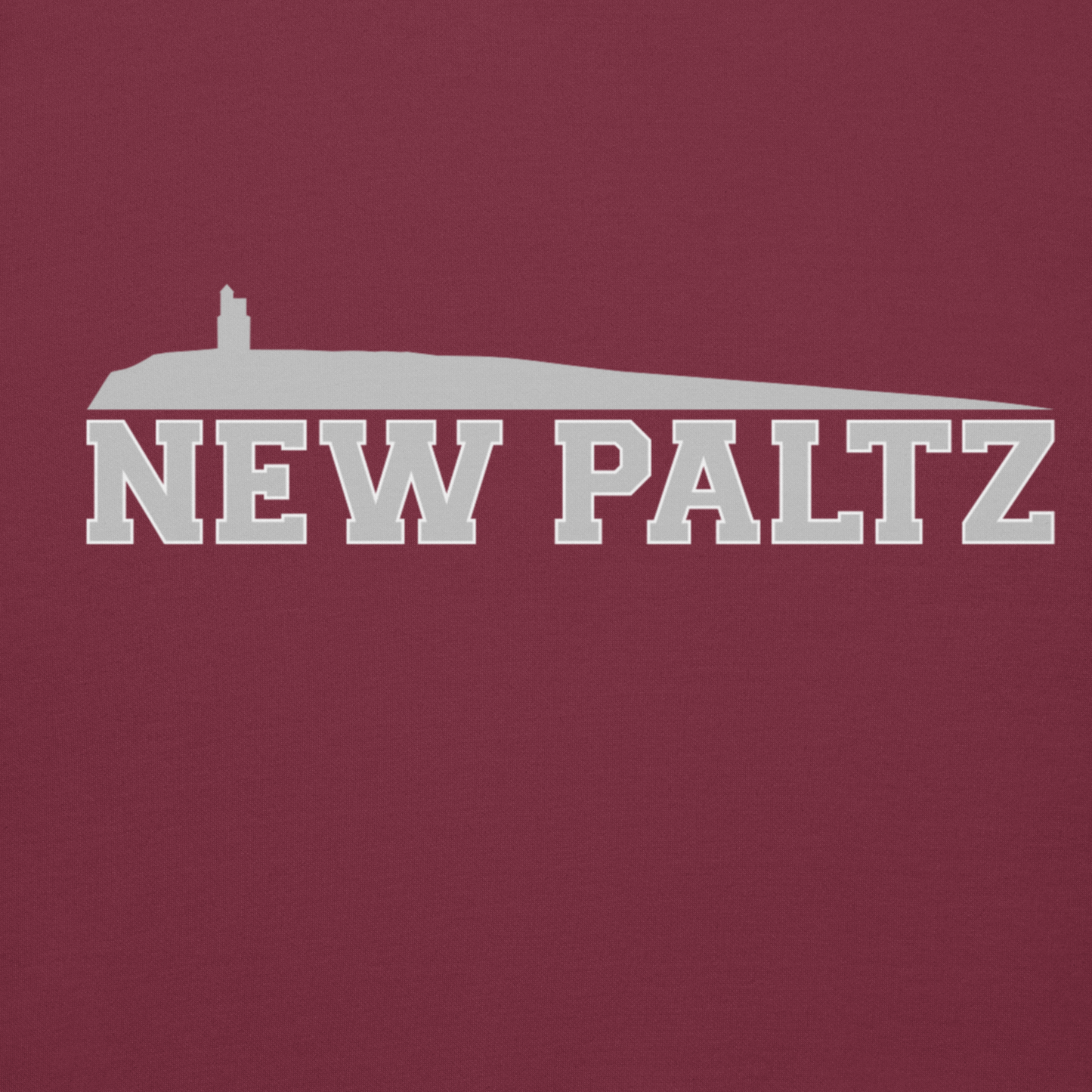 New Paltz NY Hoodie