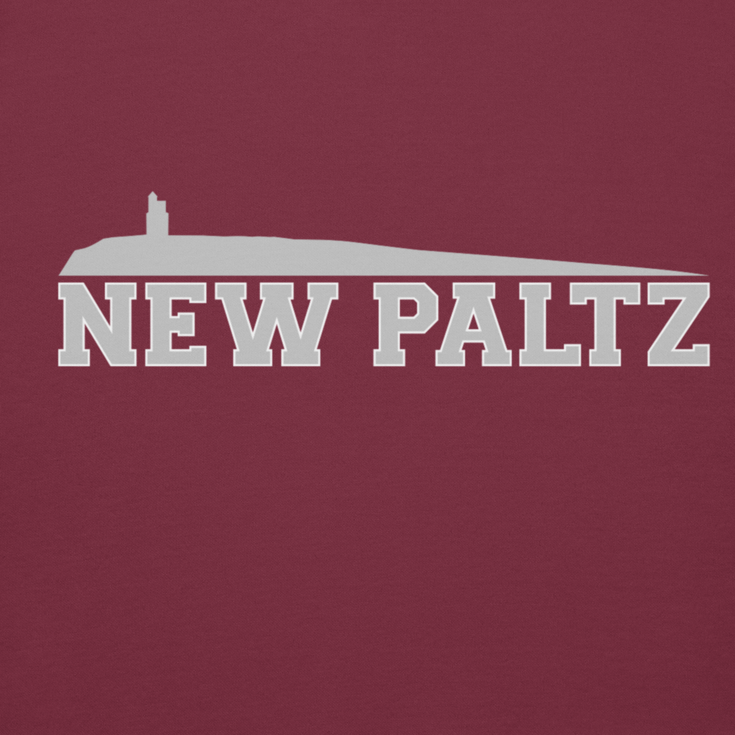 New Paltz NY